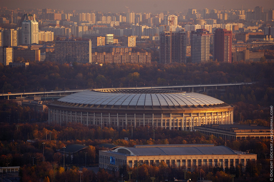 Лужники