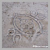 Parquet
