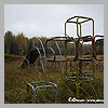 Above children played here