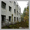 Living building