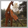 Ferroconcerte giraffes