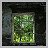 A window with the view of nature